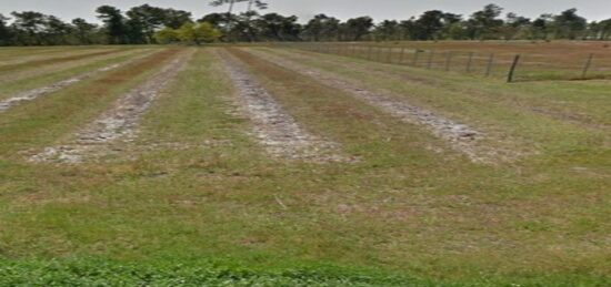 Terrain à bâtir à Saint-Savin, Nouvelle-Aquitaine