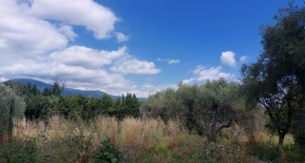 Opio Terrain à bâtir - 2446350-1837annonce2202603035aXOs.jpeg Maisons Open