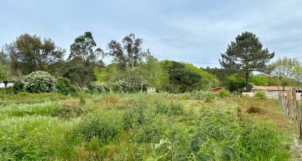 Mimizan Terrain à bâtir - 2486678-1093annonce220260416PTeFe.jpeg Maisons Open