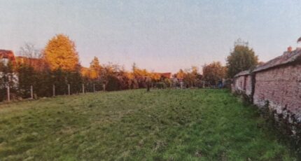 Marcilly-la-Campagne Terrain à bâtir - 2412255-11732annonce120260129u8eXD.jpeg Maisons Open