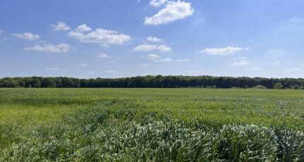 Surville Terrain à bâtir - 2412296-11732annonce120260129WqTdp.jpeg Maisons Open