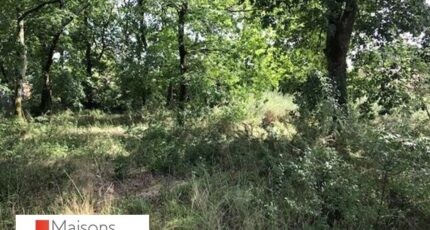 Salles Terrain à bâtir - 2486971-3127annonce120260416ufmyc.jpeg Maisons Open