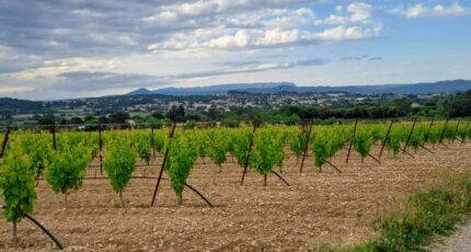 Rians Terrain à bâtir - 2486917-11238annonce320260416TnpoJ.jpeg Maisons Open