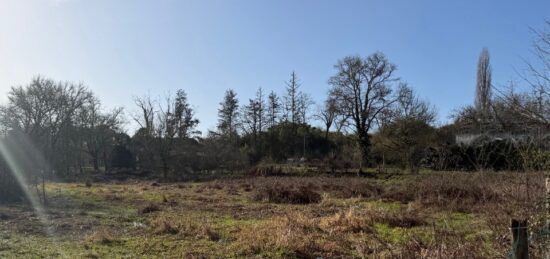 Terrain à bâtir à Noaillan, Nouvelle-Aquitaine