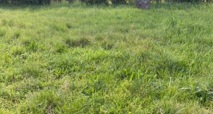 Lauris Terrain à bâtir - 2487085-7050annonce220260416IX5ks.jpeg Maisons Open