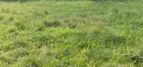 Terrain à bâtir à , Vaucluse