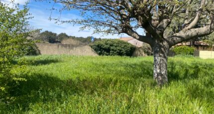 Lauris Terrain à bâtir - 2487094-7050annonce120260416AxQ0p.jpeg Maisons Open