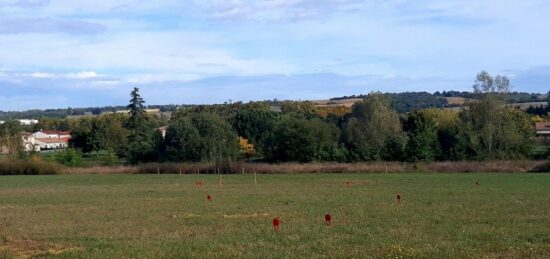 Terrain à bâtir à Verfeil, Occitanie