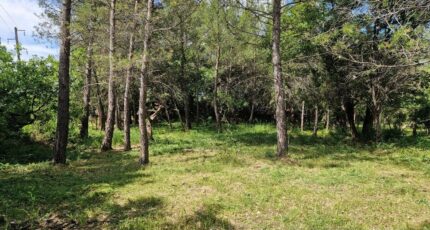 Flayosc Terrain à bâtir - 2426928-3951annonce3202602125OH4m.jpeg Maisons Open