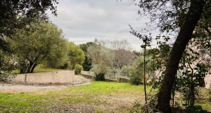 Pignans Terrain à bâtir - 2390434-4866annonce2202601135mCAJ.jpeg Maisons Open