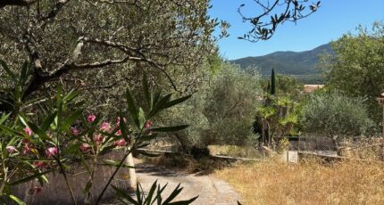 Pignans Terrain à bâtir - 2390434-4866annonce520260113G0nPh.jpeg Maisons Open