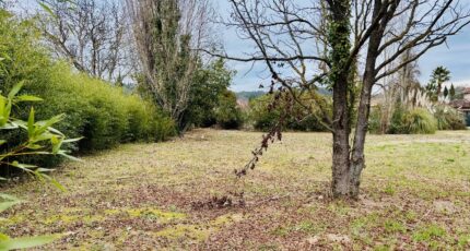Pignans Terrain à bâtir - 2390796-4866annonce1202601134hy2v.jpeg Maisons Open