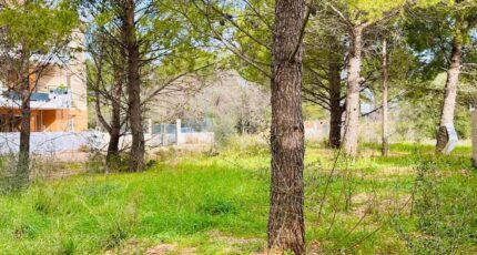 Cuers Terrain à bâtir - 2390481-4866annonce220260113Mn3iT.jpeg Maisons Open