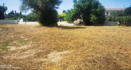 Aubagne Terrain à bâtir - 2390535-10271annonce120260113HF7Cq.jpeg Maisons Open