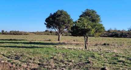 Saint-Jean-Lasseille Terrain à bâtir - 2487298-4671annonce120260416yokx5.jpeg Maisons Open