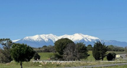 Perpignan Terrain à bâtir - 2487352-4671annonce120260416EvOk5.jpeg Maisons Open