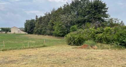 Mallemort Terrain à bâtir - 2487274-3969annonce320260416VXbsS.jpeg Maisons Open