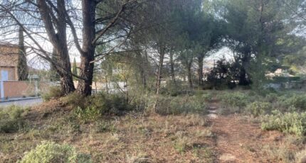 Alleins Terrain à bâtir - 2455828-3969annonce120260313ZgmD4.jpeg Maisons Open