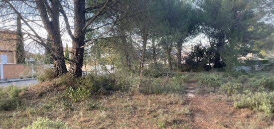 Terrain à bâtir à Alleins, Provence-Alpes-Côte d'Azur