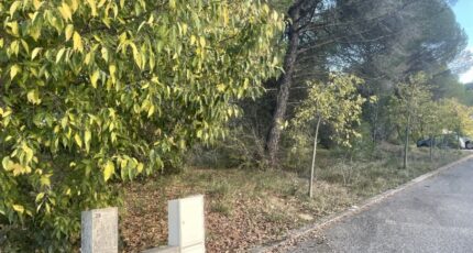 Alleins Terrain à bâtir - 2455828-3969annonce4202603136eihw.jpeg Maisons Open