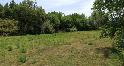 Salon-de-Provence Terrain à bâtir - 2394739-3969annonce220260115An8iL.jpeg Maisons Open