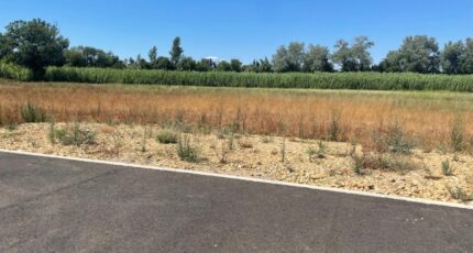 Saint-Martin-de-Crau Terrain à bâtir - 2397083-3969annonce420260119FiuuL.jpeg Maisons Open