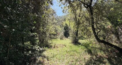 Plan-d'Aups-Sainte-Baume Terrain à bâtir - 2487348-10271annonce220260416mZsoT.jpeg Maisons Open