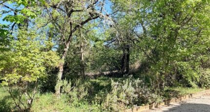 Plan-d'Aups-Sainte-Baume Terrain à bâtir - 2487348-10271annonce420260416EVTus.jpeg Maisons Open