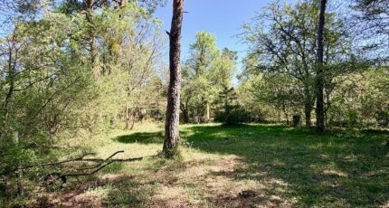 Plan-d'Aups-Sainte-Baume Terrain à bâtir - 2487327-10271annonce120260416os4DO.jpeg Maisons Open