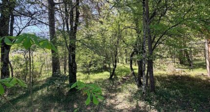 Plan-d'Aups-Sainte-Baume Terrain à bâtir - 2487353-10271annonce220260416XuxhB.jpeg Maisons Open