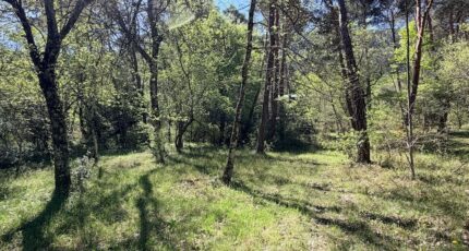 Plan-d'Aups-Sainte-Baume Terrain à bâtir - 2487353-10271annonce420260416u2ka6.jpeg Maisons Open