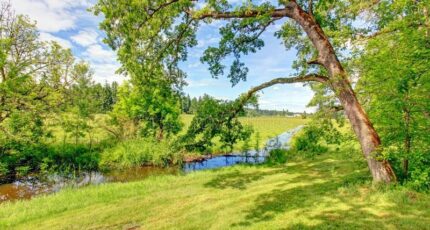 Chanceaux-sur-Choisille Terrain à bâtir - 2487405-10205annonce120250701c0xP9.jpeg Maisons Open