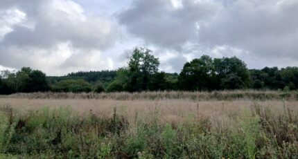 Le Breuil-en-Auge Terrain à bâtir - 2383569-11563annonce120250904HFhWf.jpeg Maisons Open