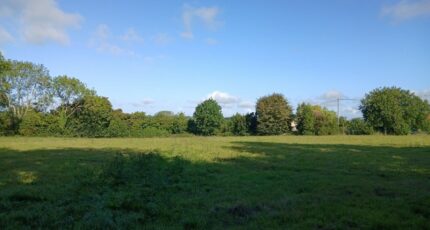 Saint-Hymer Terrain à bâtir - 2383607-11563annonce320250905lZWE8.jpeg Maisons Open