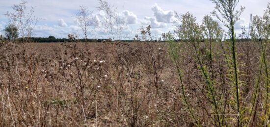 Terrain à bâtir à Frénouville, Normandie