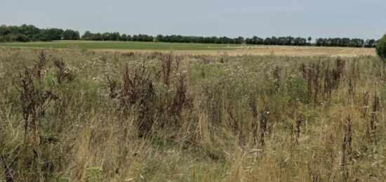 Terrain à bâtir à Lasson, Normandie
