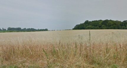 Maizet Terrain à bâtir - 2421208-11563annonce120251017Why6G.jpeg Maisons Open