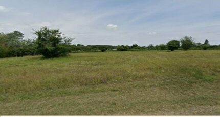 Cartelègue Terrain à bâtir - 2483585-11516annonce1202604135u2wV.jpeg Maisons Open