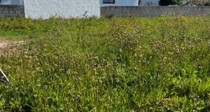 Challans Terrain à bâtir - 2486996-11854annonce320260416iDnau.jpeg Maisons Open