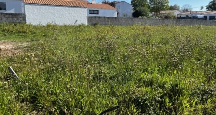 Challans Terrain à bâtir - 2486996-11854annonce120260416wdwOG.jpeg Maisons Open