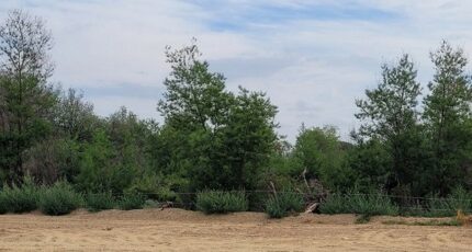 Céret Terrain à bâtir - 2487942-4671annonce120260417tTs27.jpeg Maisons Open