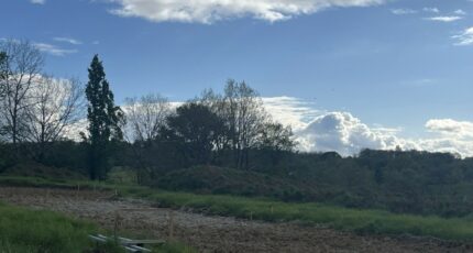 Cadalen Terrain à bâtir - 2485794-11846annonce320260415Ak6Zi.jpeg Maisons Open