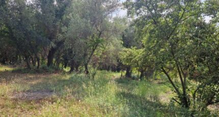 Pégomas Terrain à bâtir - 2487923-1836annonce2202604171TXwv.jpeg Maisons Open