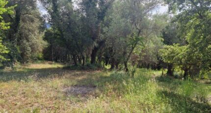 Pégomas Terrain à bâtir - 2487923-1836annonce320260417B9tim.jpeg Maisons Open