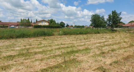 Bérat Terrain à bâtir - 2487561-10326annonce120260416qXrym.jpeg Maisons Open