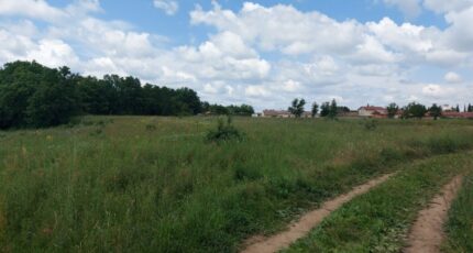 Bérat Terrain à bâtir - 2487561-10326annonce220260416BdTLk.jpeg Maisons Open