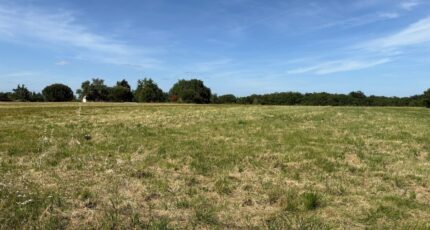 Gargas Terrain à bâtir - 2487907-11356annonce120260417hGhnN.jpeg Maisons Open