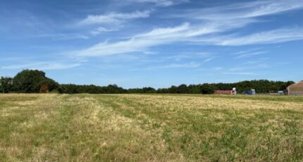 Gargas Terrain à bâtir - 2487907-11356annonce220260417okThn.jpeg Maisons Open