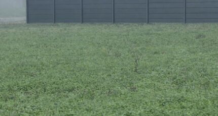 Monségur Terrain à bâtir - 2386102-1086annonce120260108C82VW.jpeg Maisons Open