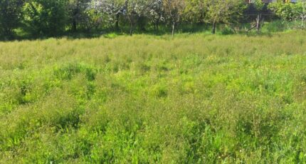 Toulouse Terrain à bâtir - 2487018-3575annonce320260416RT6hN.jpeg Maisons Open